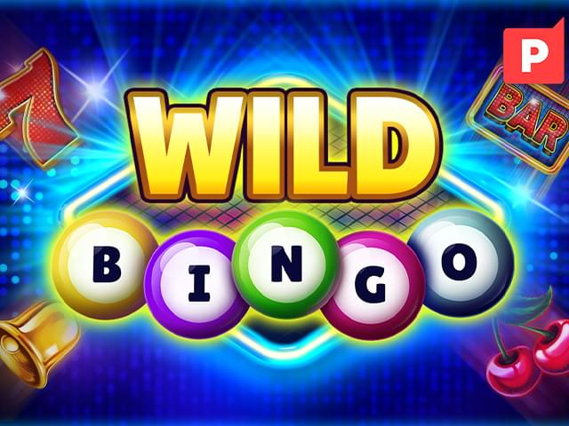winzada 777 Bingo Selvagem